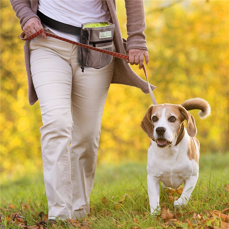 Customized pet supplies