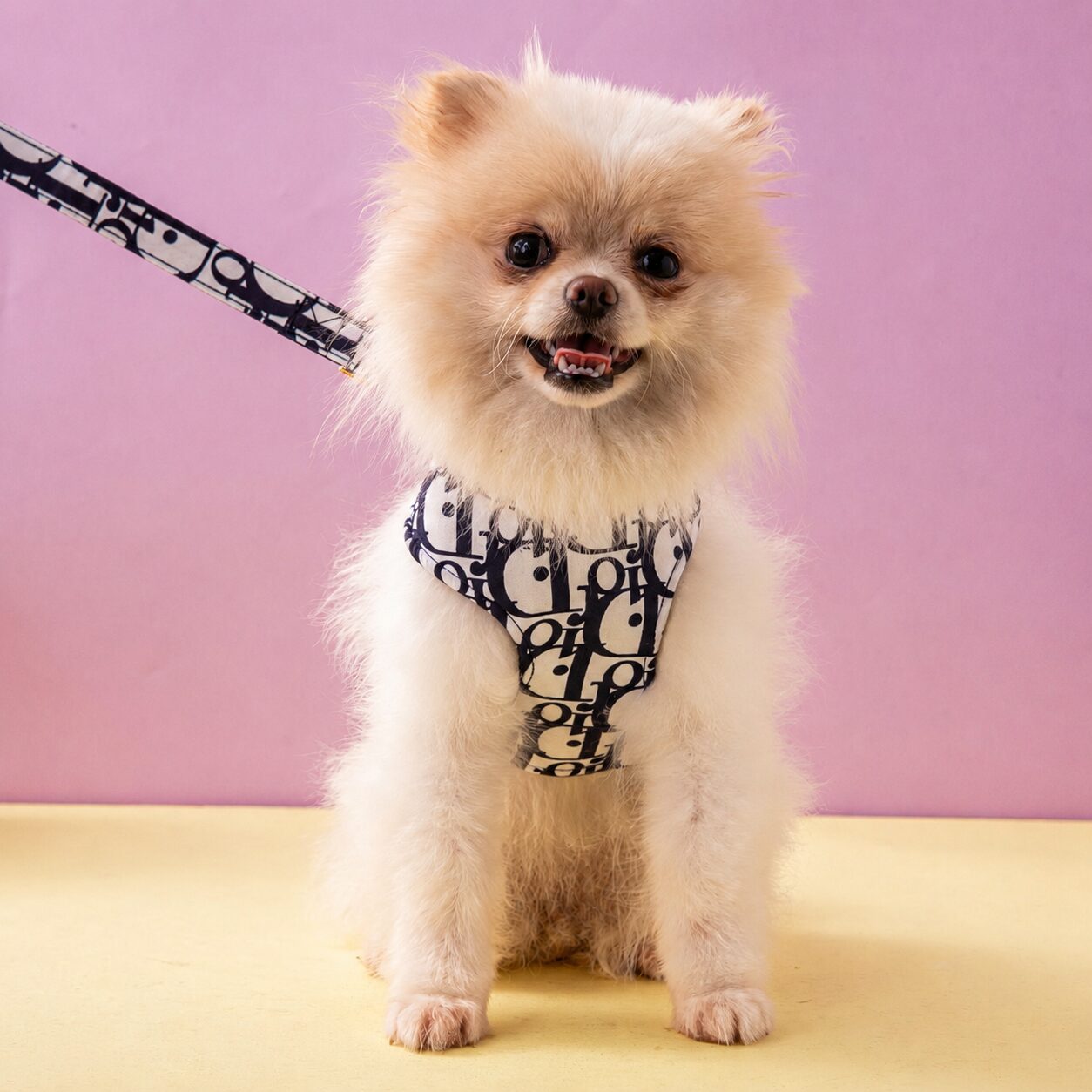 custom Pet Harness