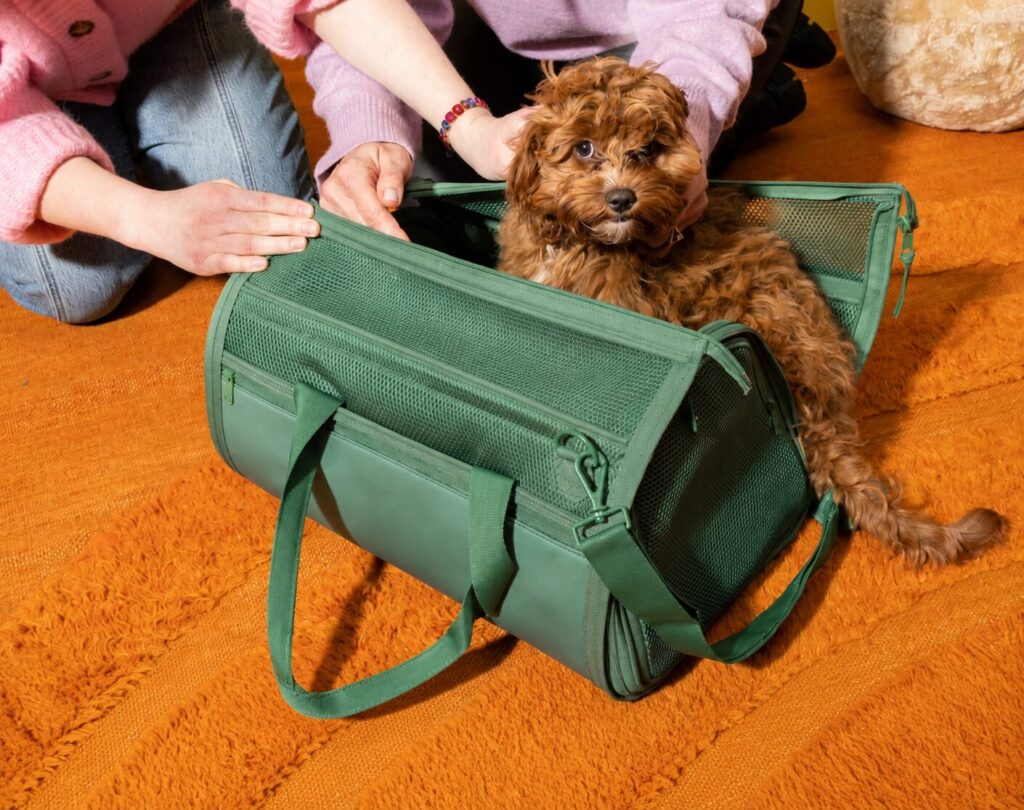 Your expert pet accessories manufacturer.