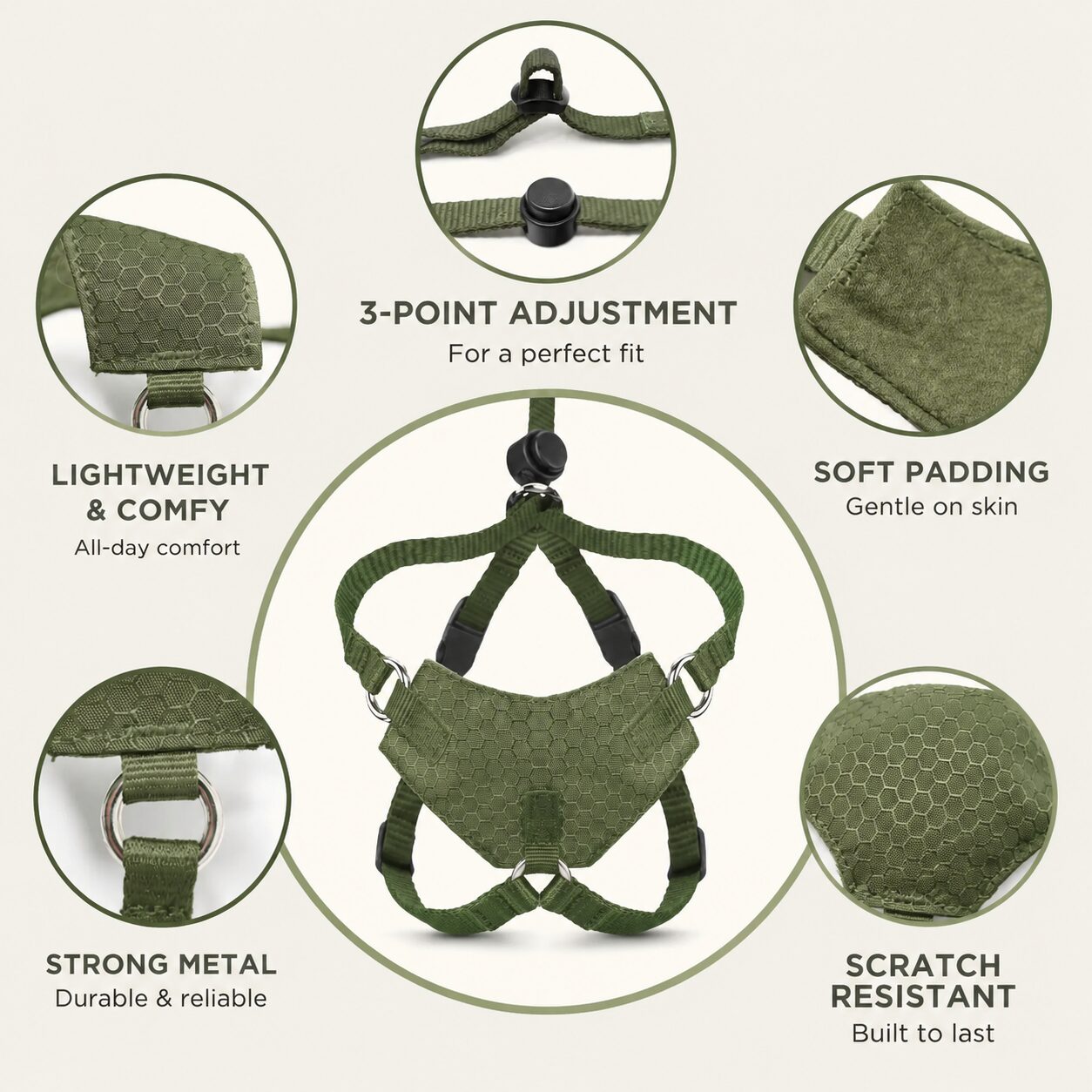 Cat Safe Dual-Point Walking Harness Set