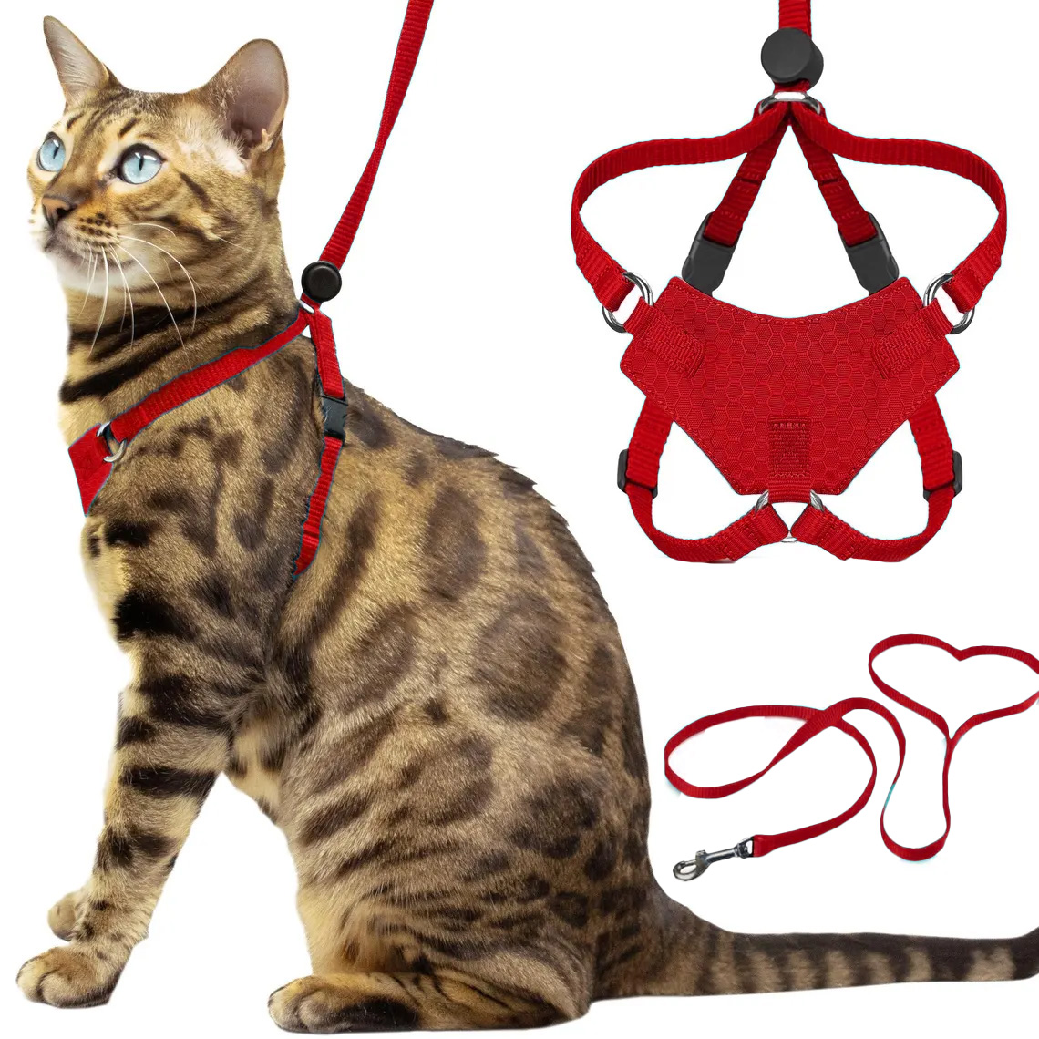 Cat Safe Dual-Point Walking Harness Set