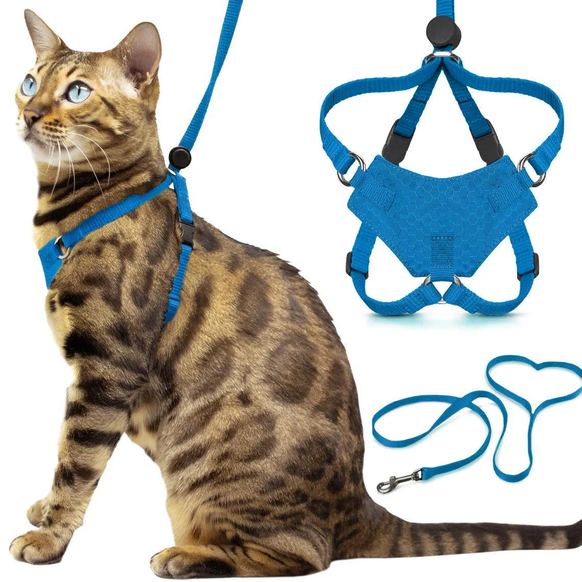 Cat Safe Dual-Point Walking Harness Set