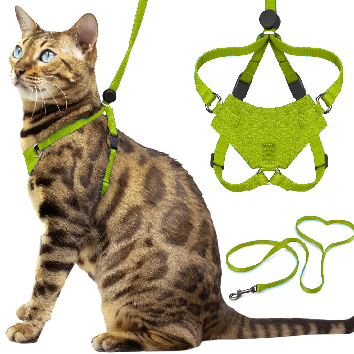 Cat Safe Dual-Point Walking Harness Set