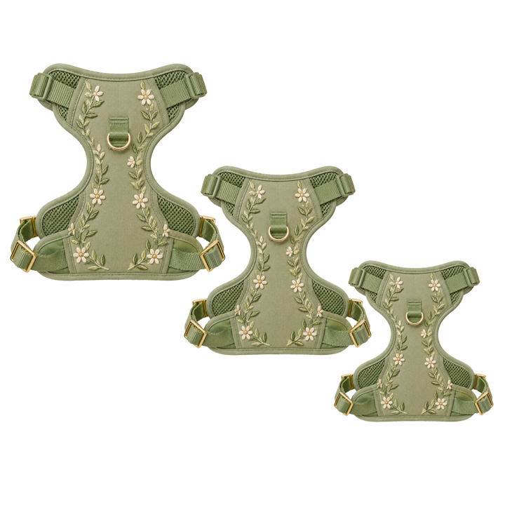 Floral Walking Harness Set