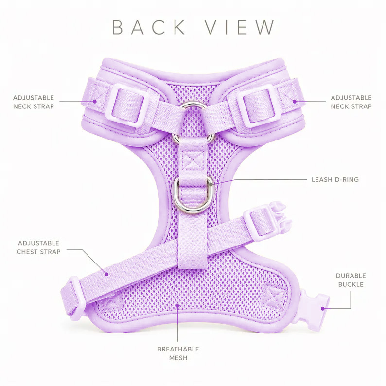 Guard Pet Walking Harness