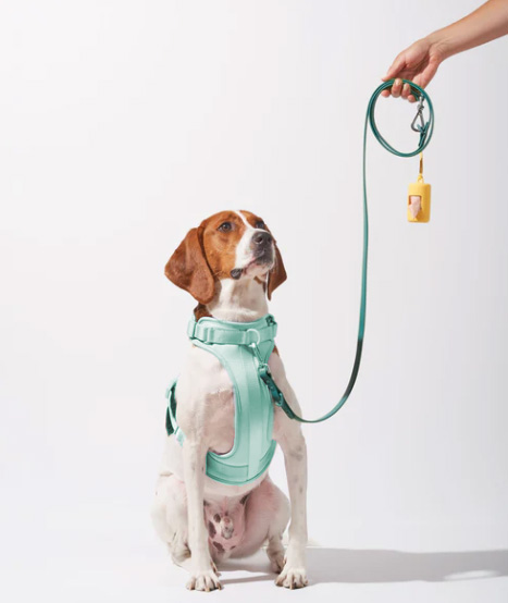 Pet Walking Harness Kit