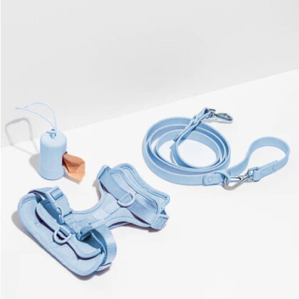Pet Walking Harness Kit