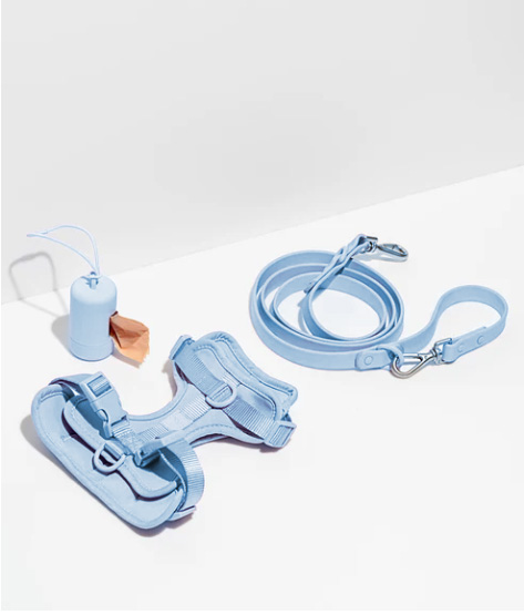 Pet Walking Harness Kit