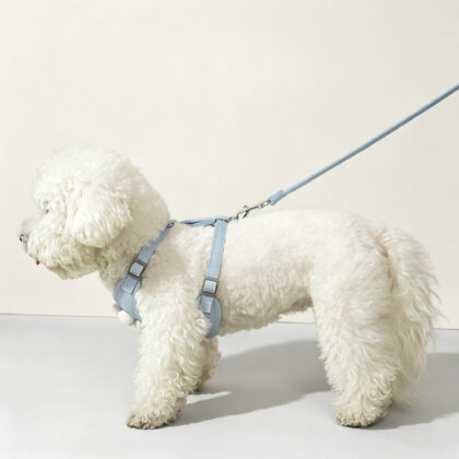 Breathable Air Mesh Adjustable Dog Harness Set