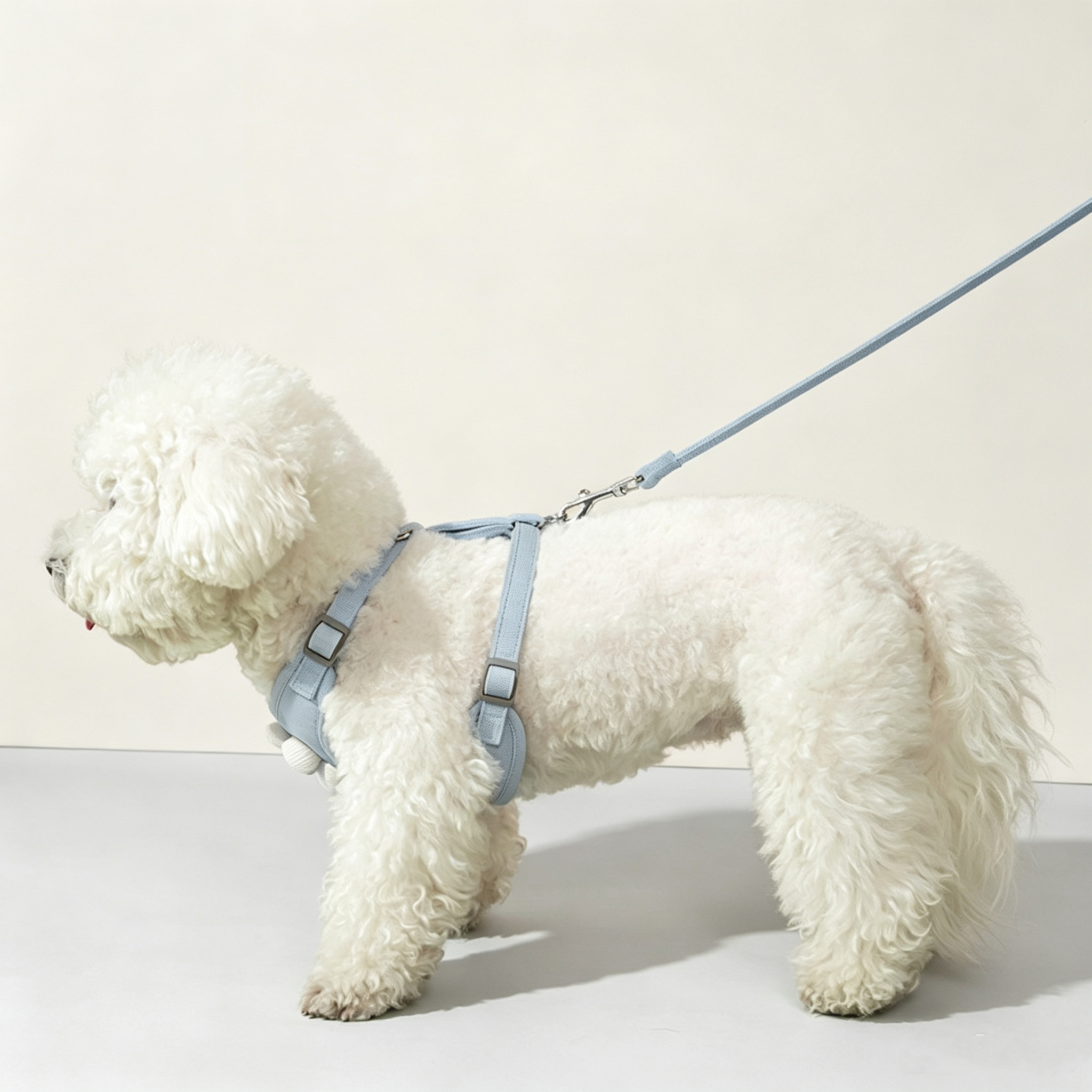 Breathable Air Mesh Adjustable Dog Harness Set