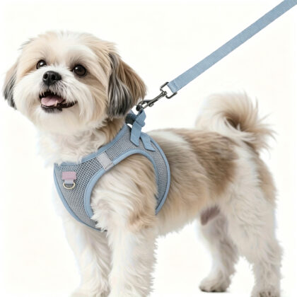 Breathable Mesh Everyday Dog Harness