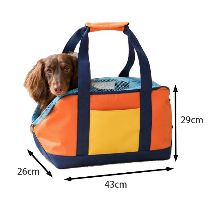 Color-Block Mesh Pet Carry Tote