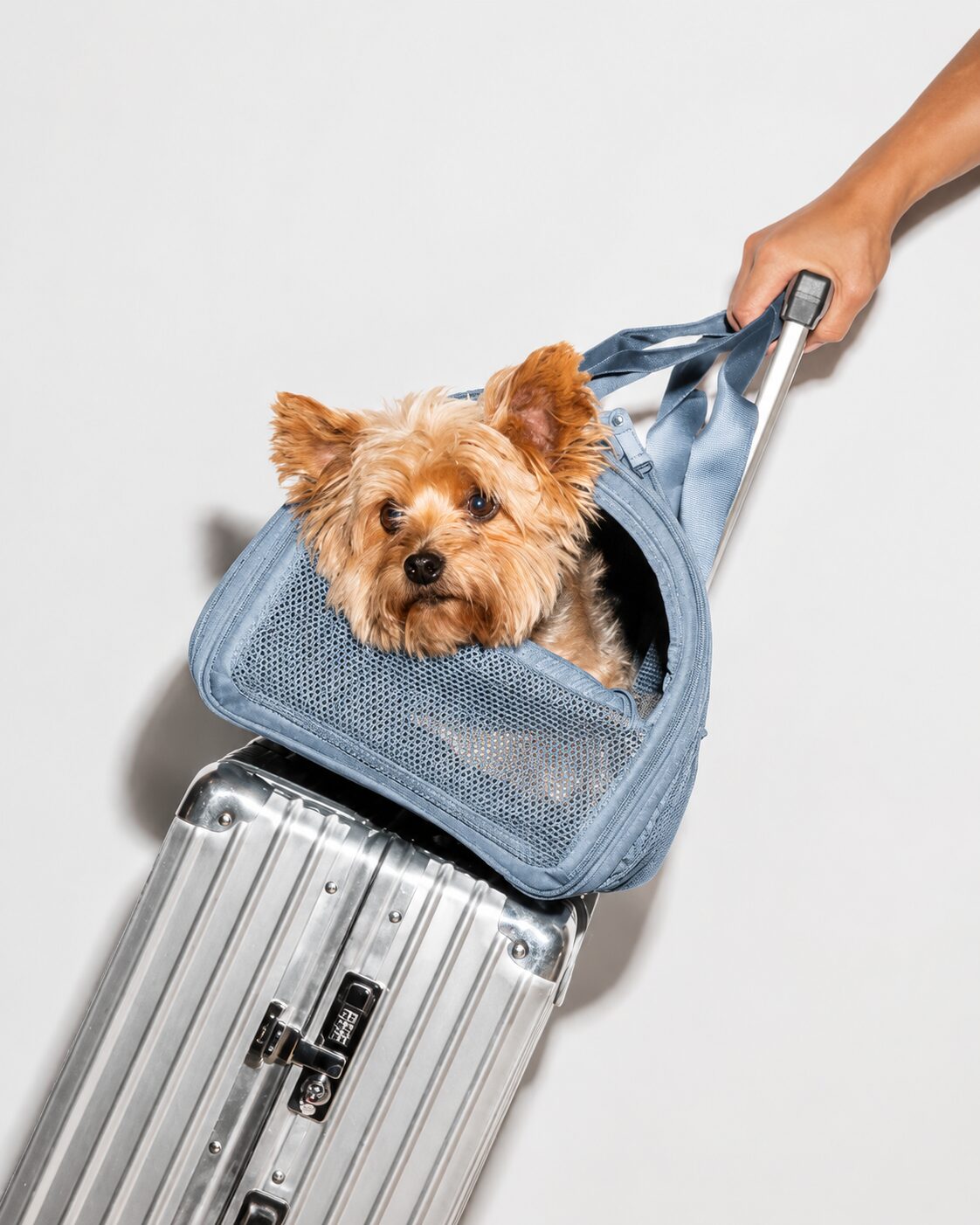 Compact Mesh-Window Pet Travel Carrier