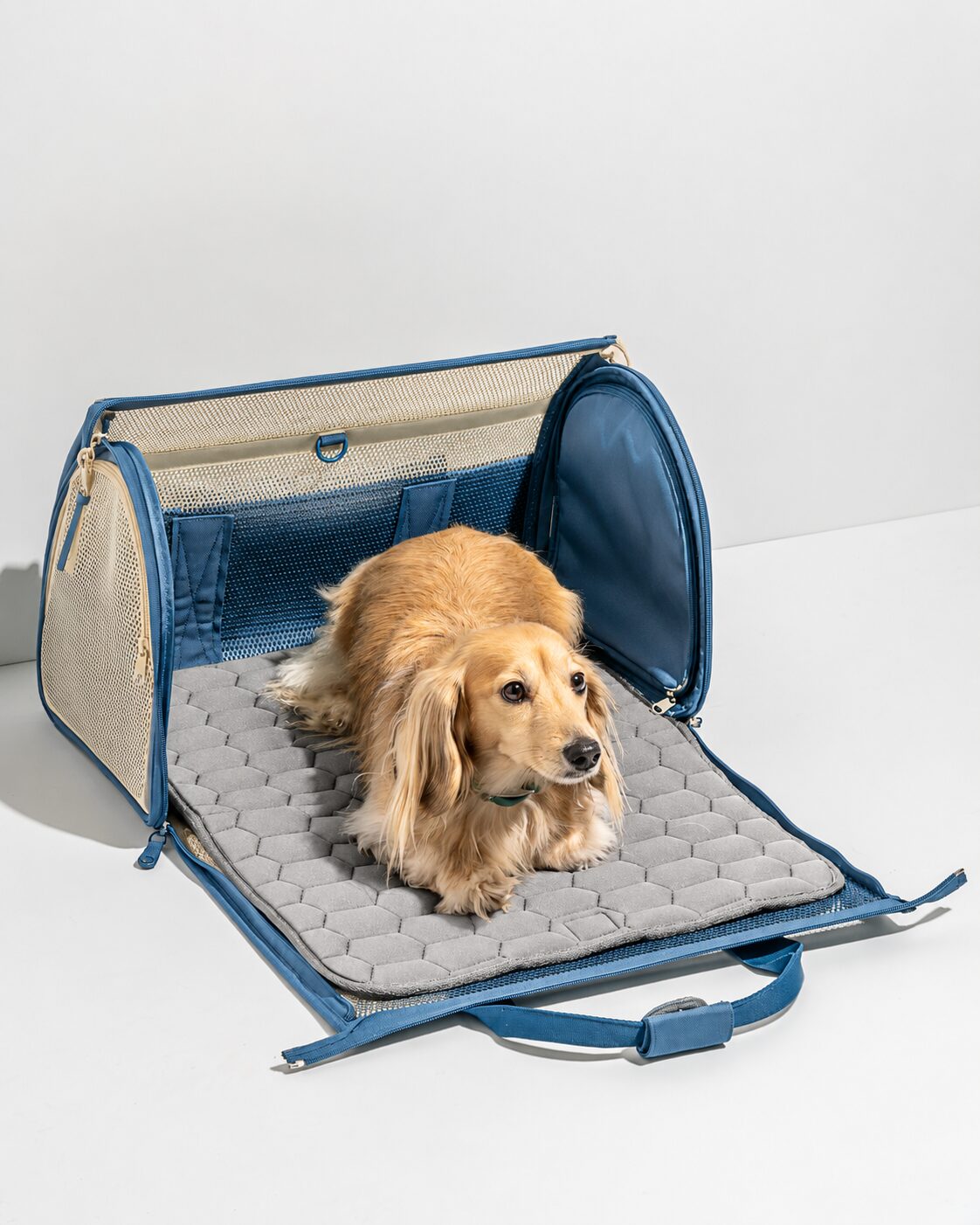 Compact Mesh-Window Pet Travel Carrier