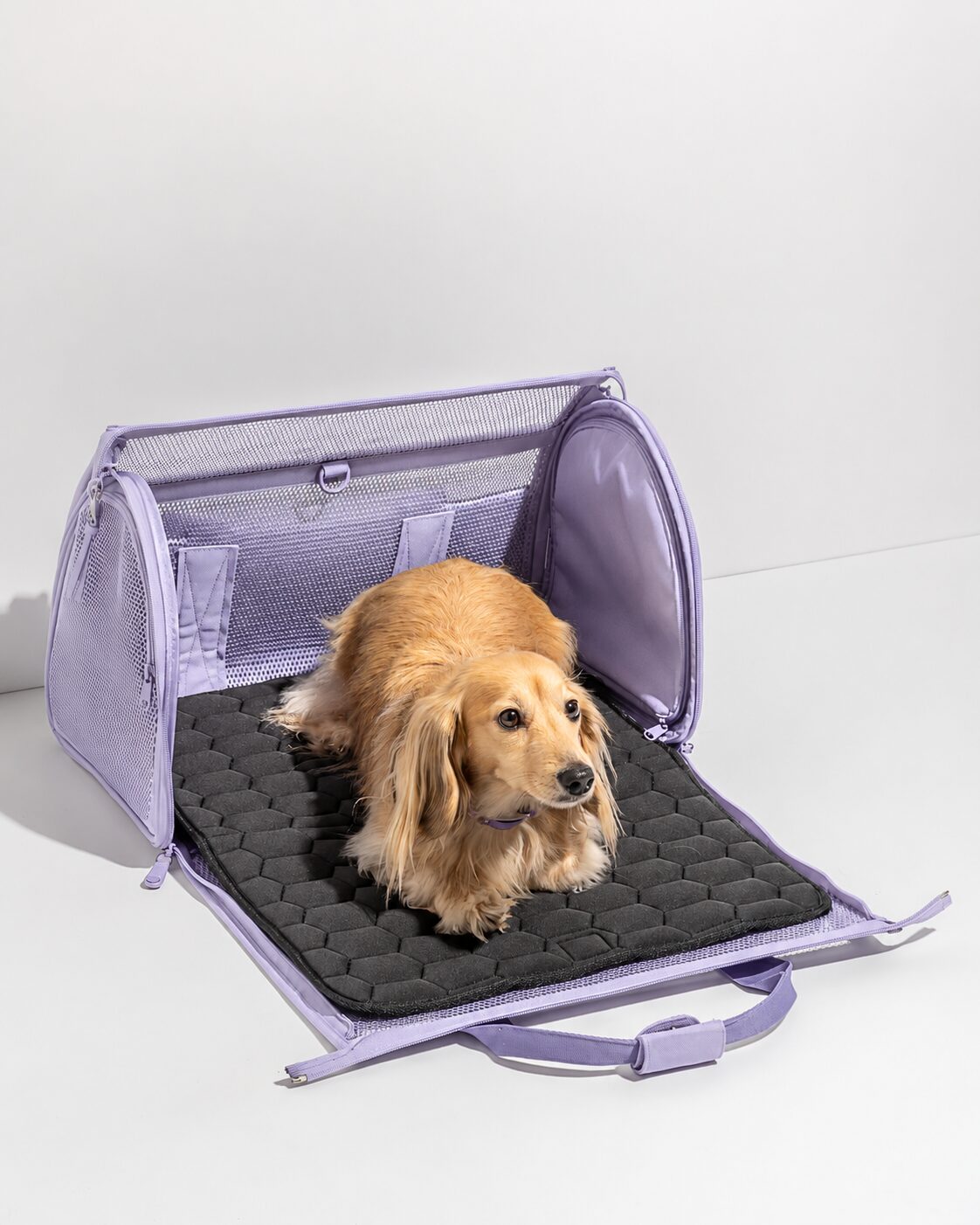 Compact Mesh-Window Pet Travel Carrier