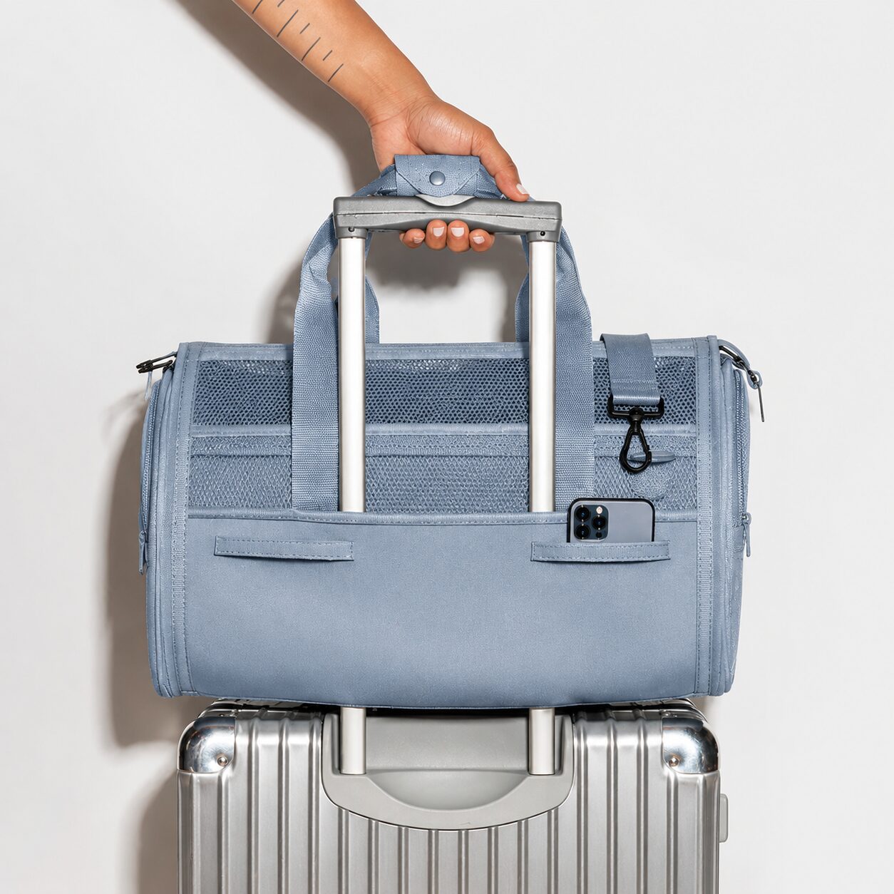 Compact Mesh-Window Pet Travel Carrier