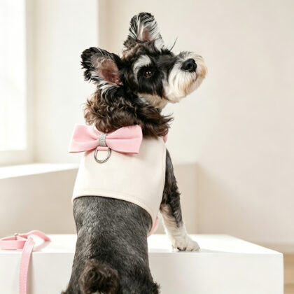 Jeweled Bow Dog Vest Harness Set
