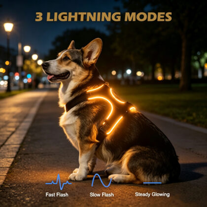 LED Night Safety Dog Harness