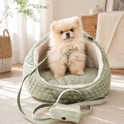 Minimalist Lightweight Dog Harness Walking Set