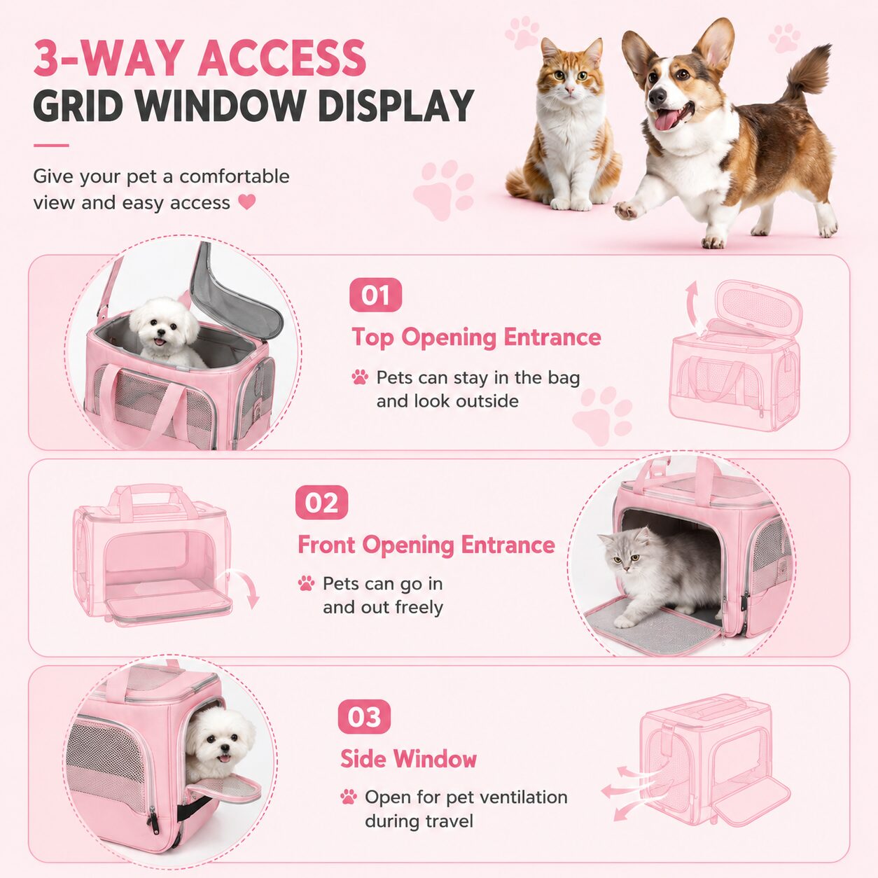 Multi-Access Pet Carrier with Removable Comfort Pads