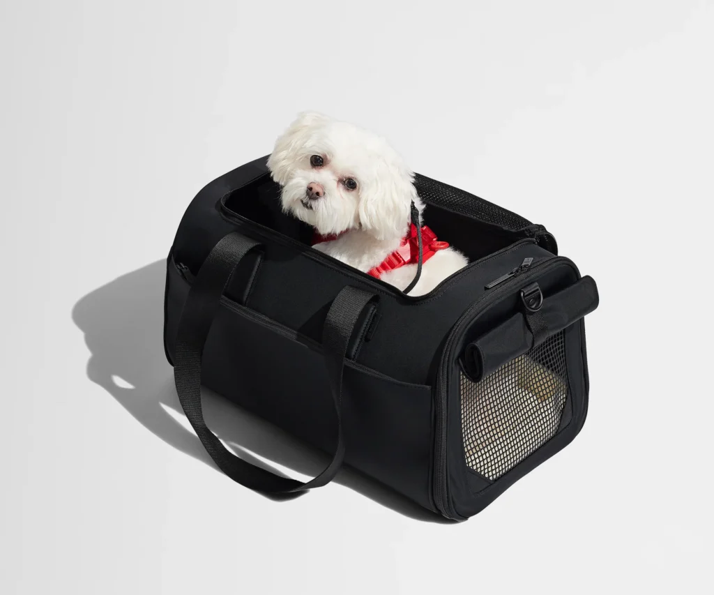 Hidden frames distribute the pet's weight across the entire structure