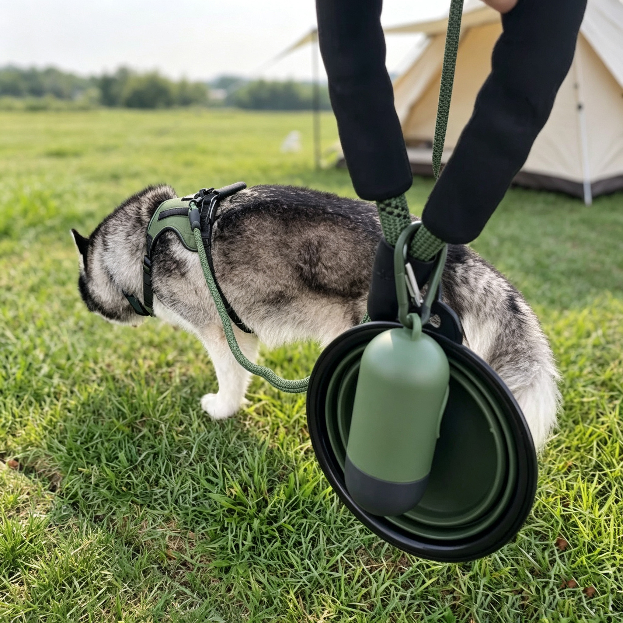 Tactical No-Pull Dog Harness Outdoor Set