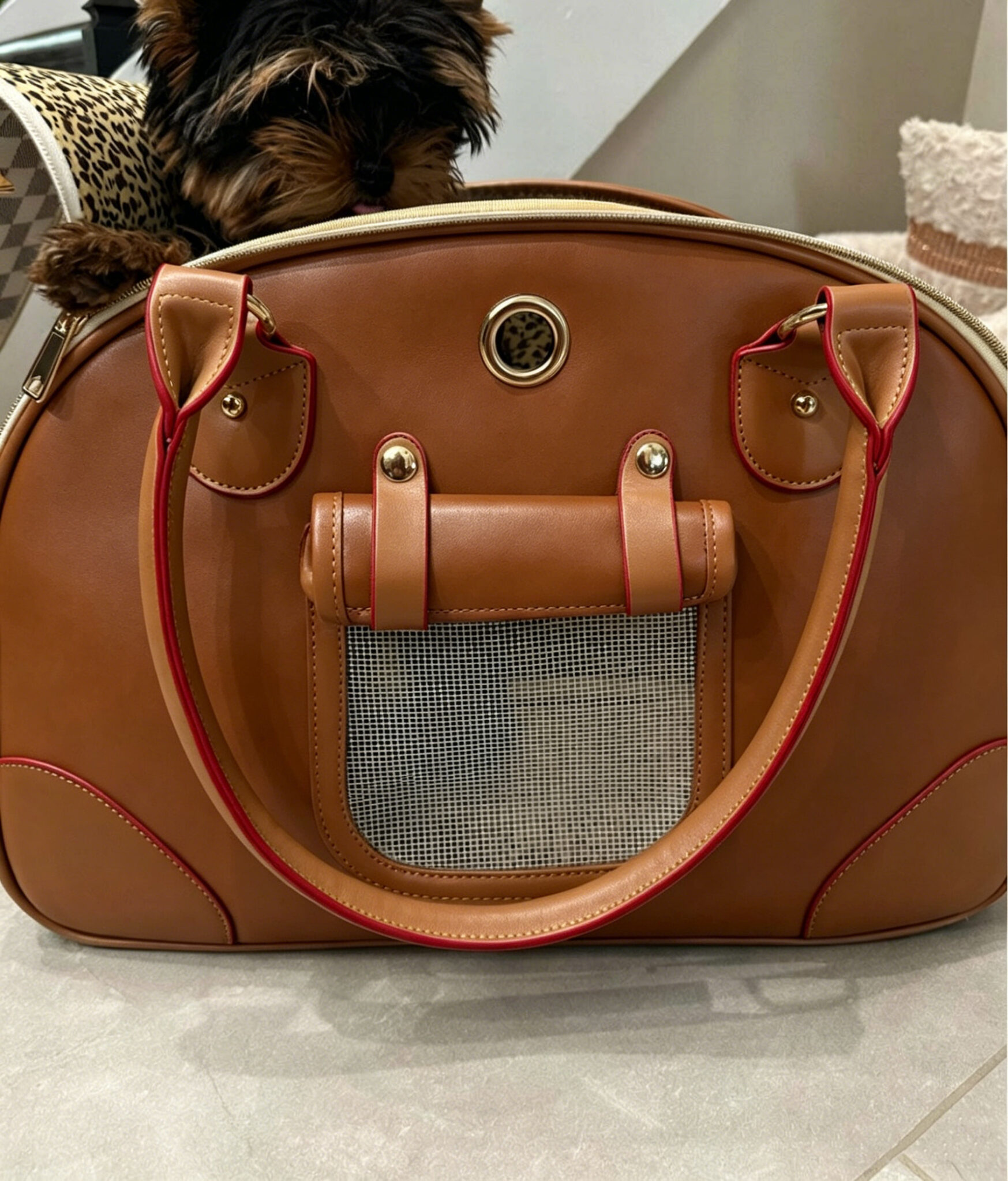 Vintage Leather-Style Pet Travel Handbag