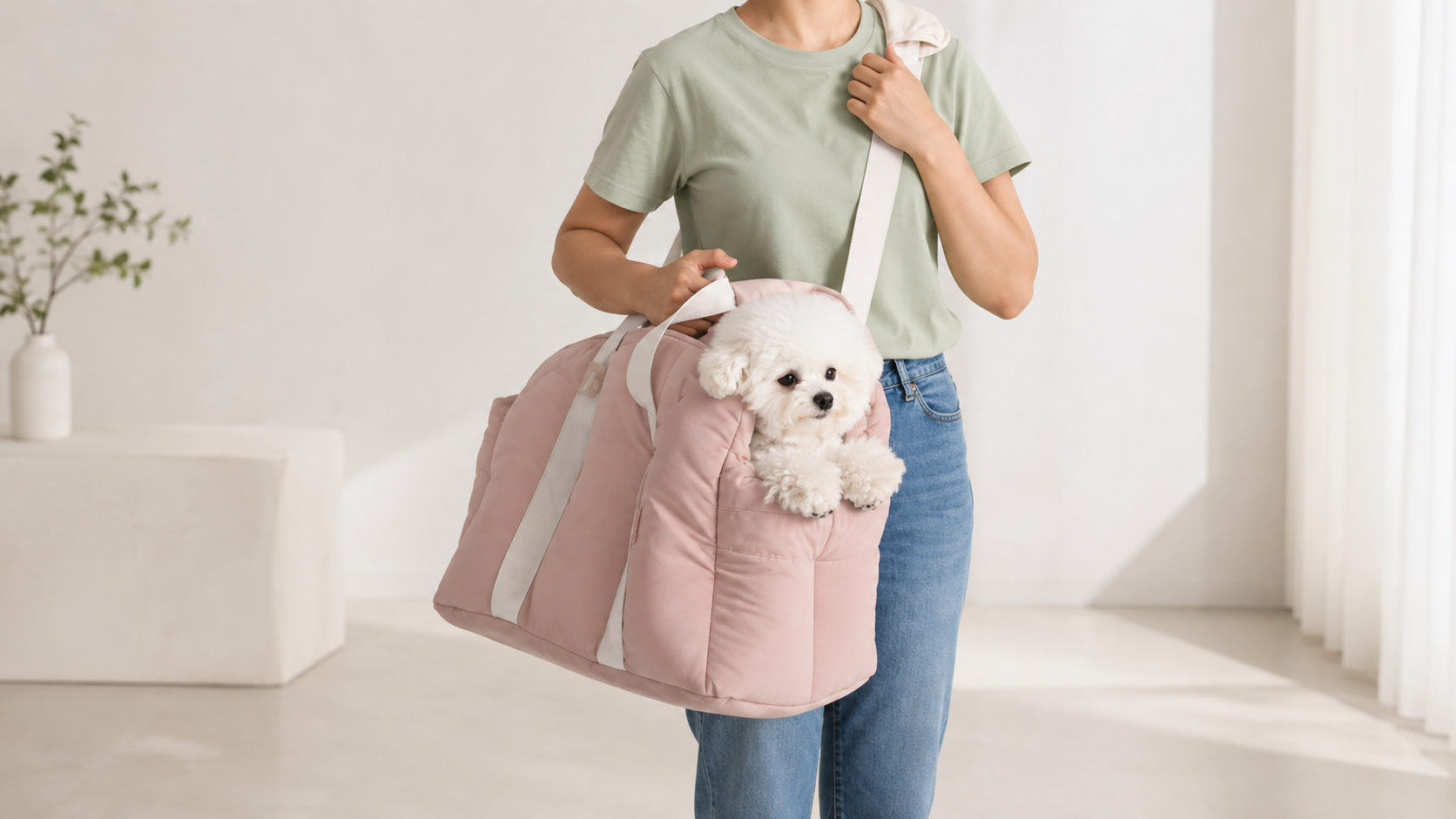 pet travel bag market trends 2027