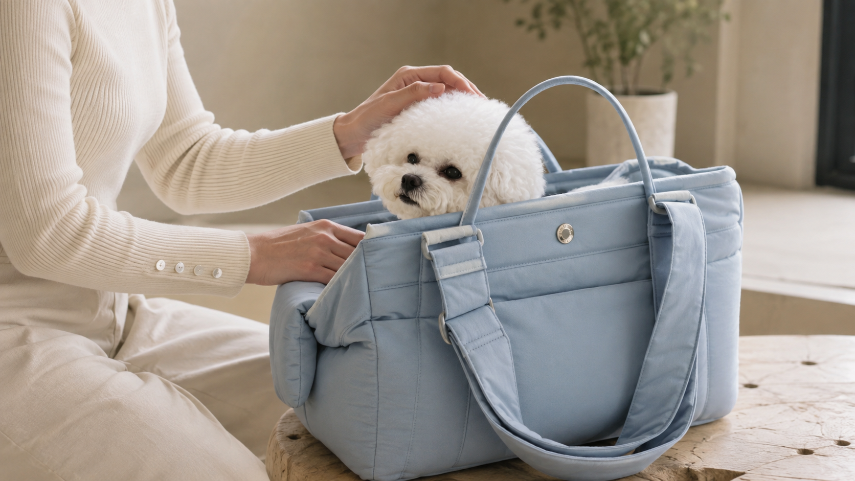 Sustainable Pet Carrier Bag: RPET, Recycled Foam and Low-Waste Design