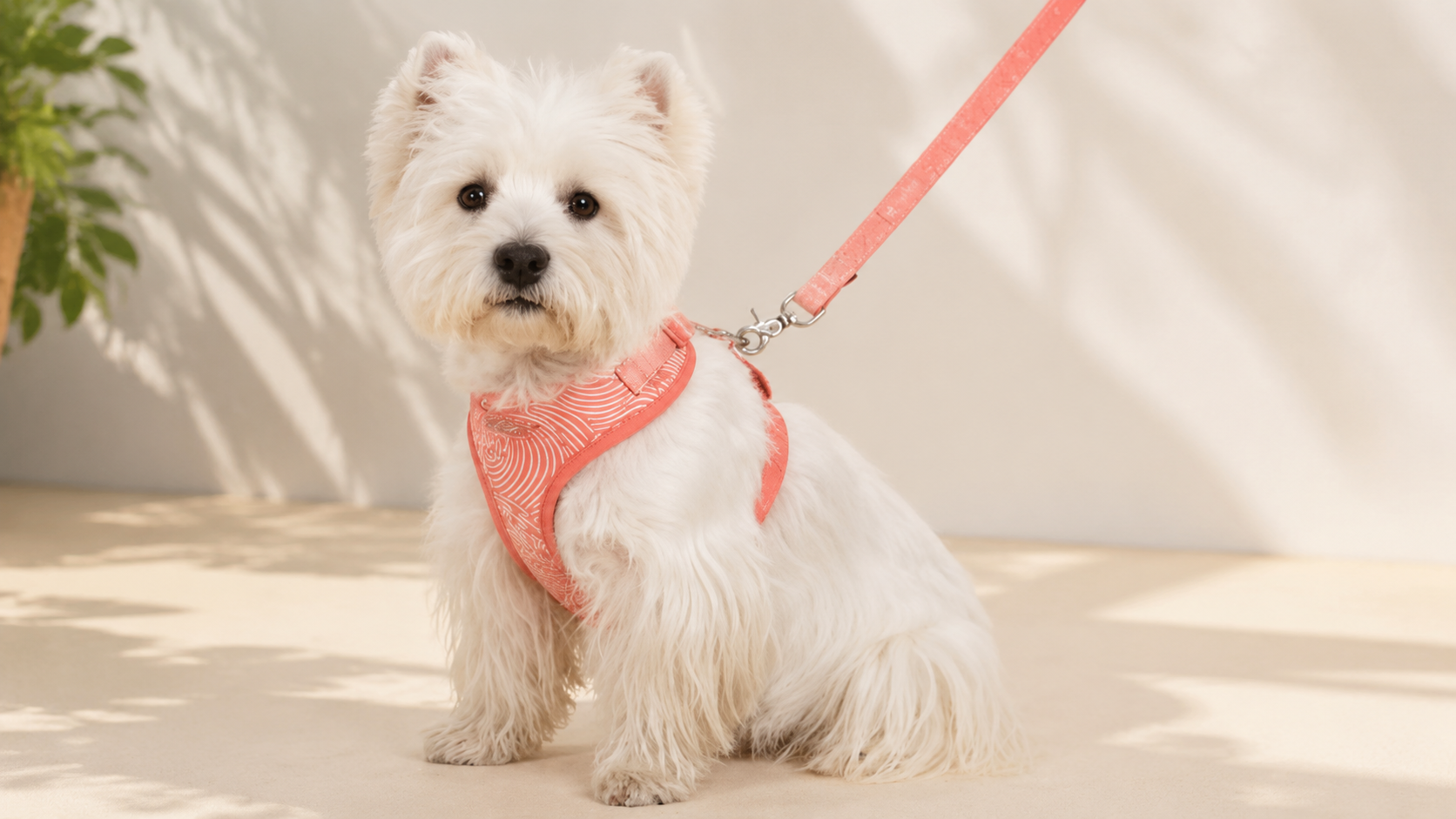 Neoprene Dog Harness Manufacturer: What Buyers Should Specify